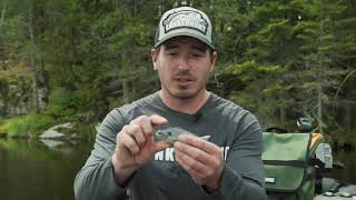 Erik Luzak shows off the Lunkerhunt Gambit Swimbait