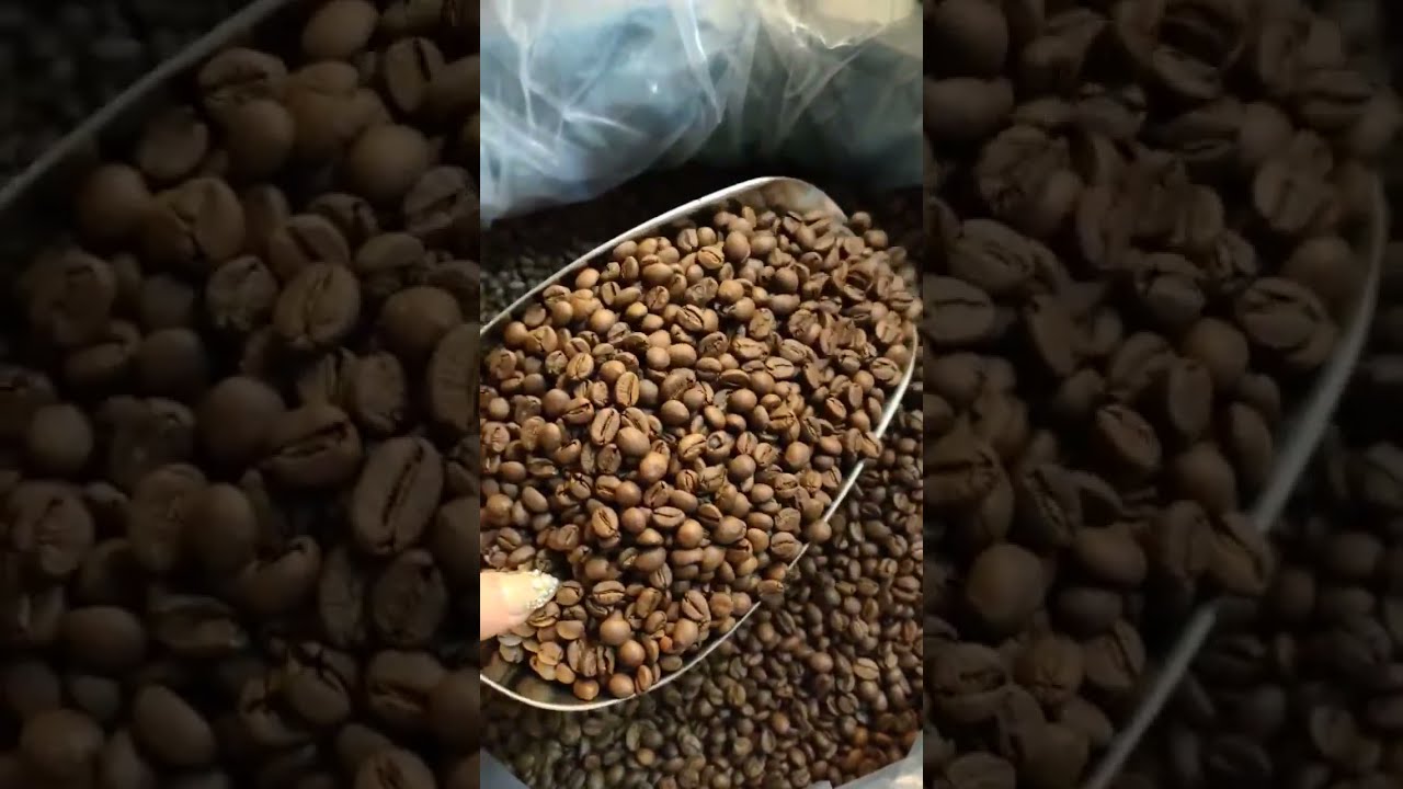 Tìm hiểu về hạt cà phê Moka và những đặc điểm độc đáo của nó