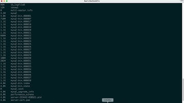 [#DirectAdmin] Vô hiệu hóa mysql-bin trên DirectAdmin