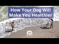 How Your Dog Will Make You Healthier
