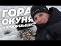 Ловля окуня на мормышку в прибрежной зоне