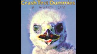 Video voorbeeld van "Crash Test Dummies - I'm Outlived By That Thing?"