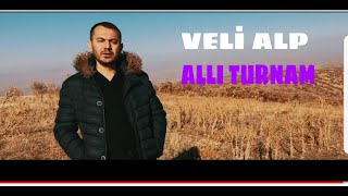 VELİ ALP - ALLI TURNAM 2021 #allıturnam #velialp #türkü Resimi