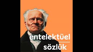 Schopenhauerın Derinliklerinde: Varlık, İrade Ve Acı Resimi
