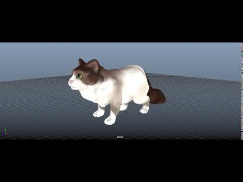 Cat Idle Animation - YouTube