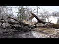 Removing an Ice Encrusted Siberian Elm