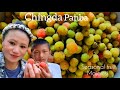 Fruit Picking Bayberry(Majamsi) Live With Nature🌳🏡. Khuhao Sidi 😋🔥.