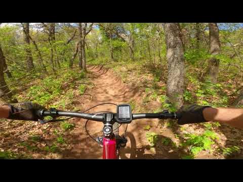 bobtrax