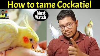 How to Bond and Tame a Scared Cockatiel | Tame cockatiel | Hand tame | Cockatiels | Parrot | Bird