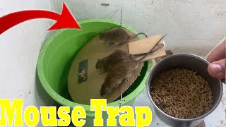 DIY mousetrap // The best way to catch mice