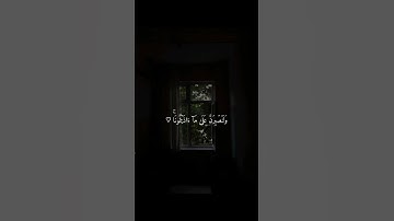 سورة ابراهيم ( اكتب شيء تؤجر عليه+ صل على النبي)