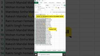 How To Separate Data Columns wise / text to columns #shorts #excel #msexcel #exceltutorial #viral screenshot 2