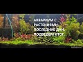 аквариум на 180л последние дни его существования, подведем итог.