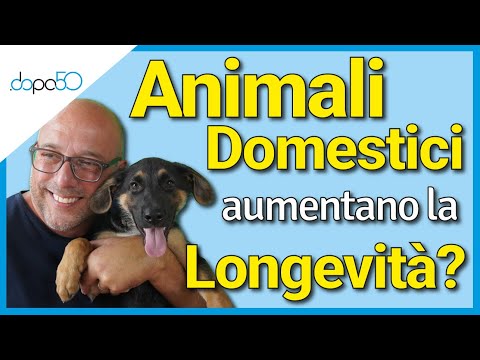 Video: Studio: credibilità del cane di servizio interrogata dai lavoratori al dettaglio