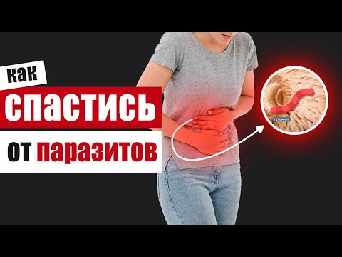 Как спасти организм от паразитов?