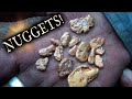 Found GOLD NUGGETS metal detecting at the Nip & Tuck Mine!