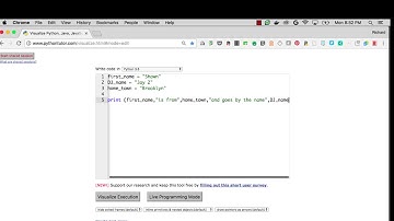 Visualizing variables (pythonmc.org)
