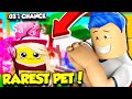 I Hatched A LEGENDARY .3% MOON PET In Saber Simulator And Got The BEST SABER EVER! (Roblox)