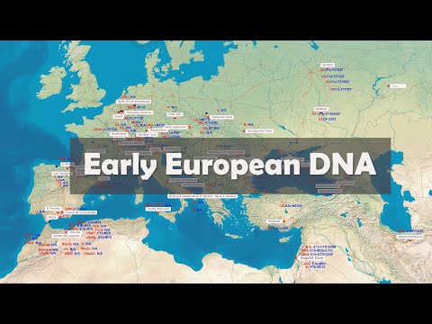 Early European DNA