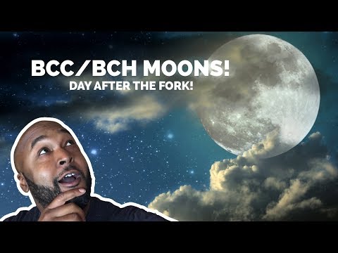 bch or bcc