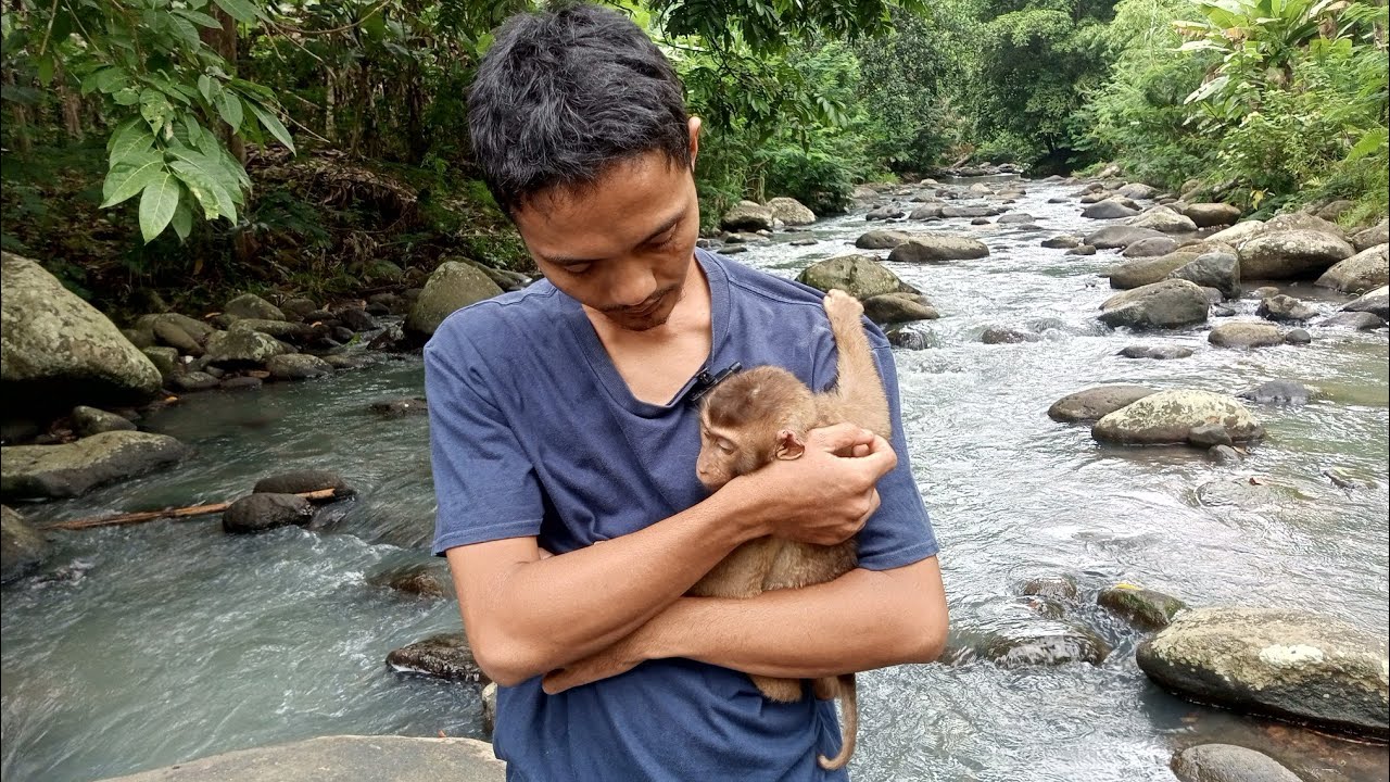 Прощай, Сели 😭, сегодня я выпускаю Сели в её естественную среду обитания. и мне очень грустно.