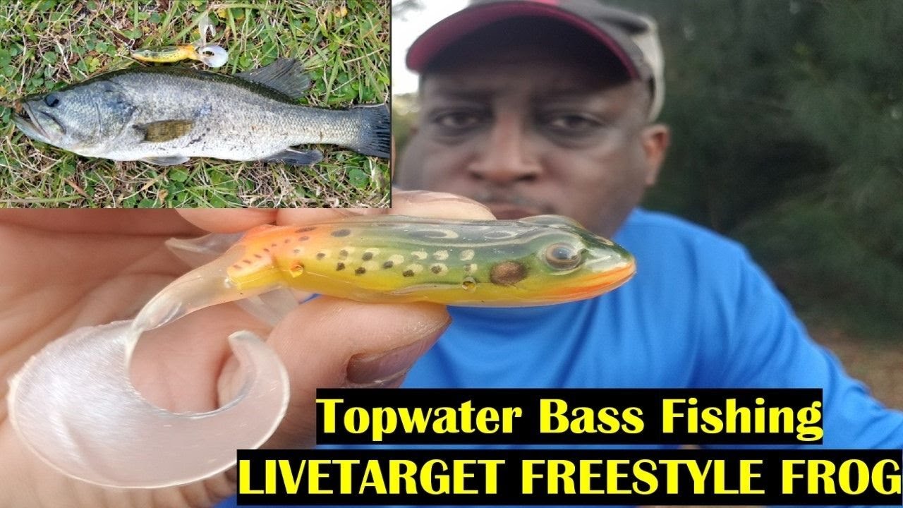 Topwater Frog Bass Fishing Tips Live Target Freestyle FROG YouTube