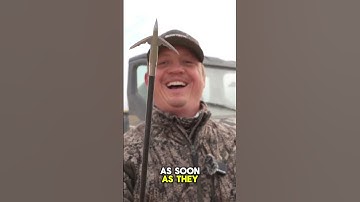 Why Broadhead Arrows Are So Deadly