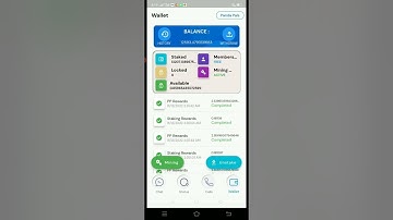 PUNK PANDA NEW UPDATES MINING BUTTON CKICK EVERY 24 HRS ONCE