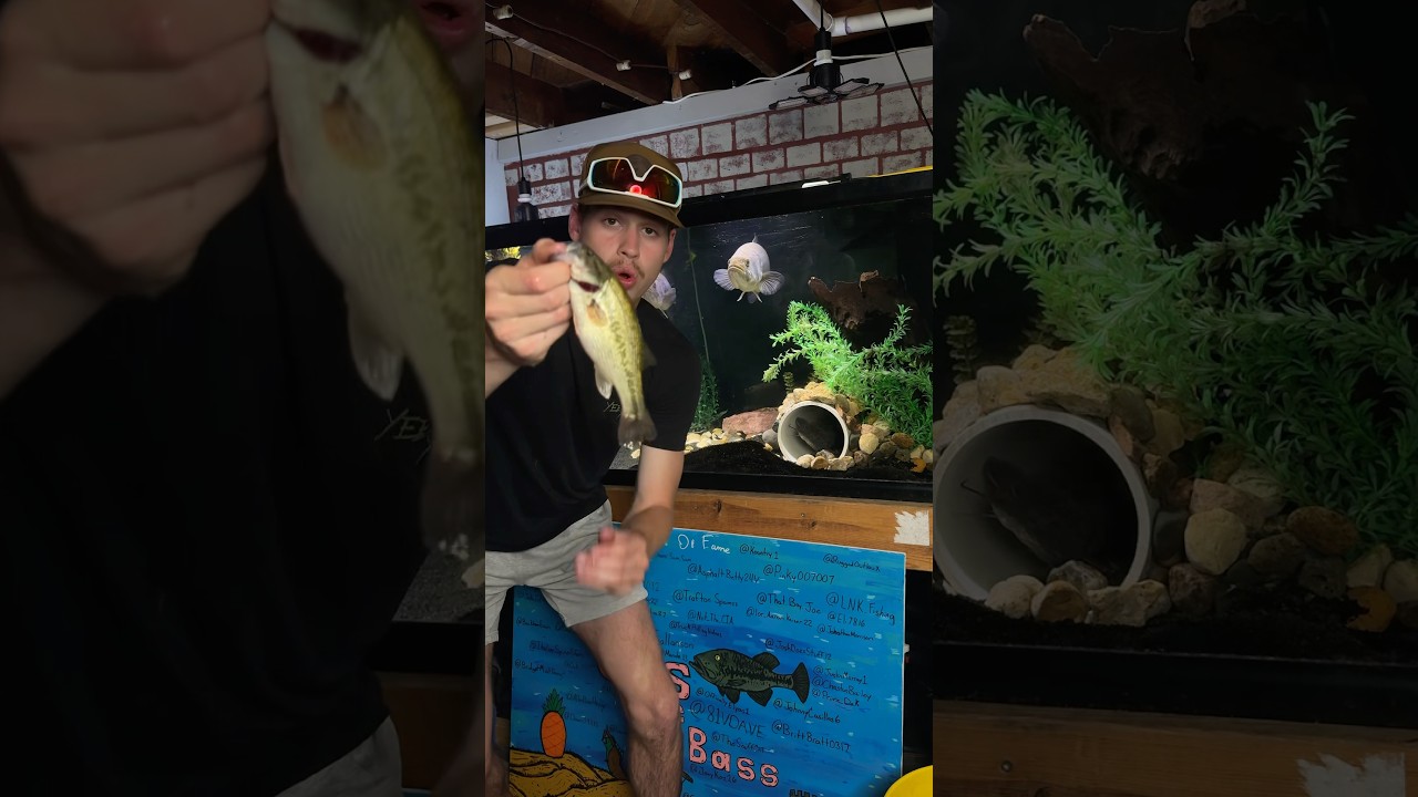 Is my PET BASS a CANNIBAL???