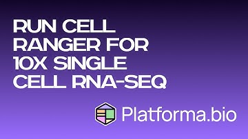 RNA-seq: Run Cell Ranger for 10x scRNA-seq data