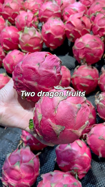 What Can $1 Buy in China? | Fruits | Grocery Shopping in China 🇨🇳