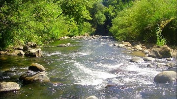 ماتيسر من سورة غافر.. للقارىء هشام بن مزروع المزروع #اكسبلور #راحة_نفسية #nature
