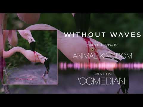 WITHOUT WAVES - COMEDIAN (FULL ALBUM STREAM)