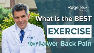 Exclusive What Is The Best Exercise For Lower Back Pain? Best Exercises For Relief! Information