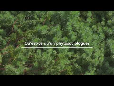 Vidéo: Qu'est-ce que la méthode phytosociologique ?