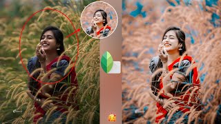 Snapseed AQUA & BROWN Tone Photo Editing | How to Change Background in Snapseed | HCN Editing