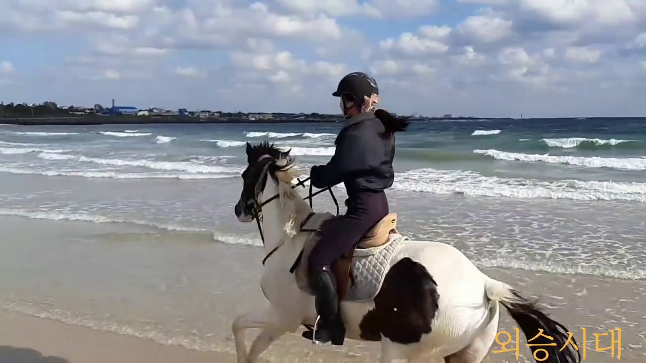 승마! 지금은 외승시대 ㅡ 제주탑승마클럽 표선해수욕장편