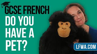 GCSE French Speaking: Do you have a pet?