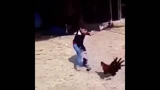 Çocuğu Kovalayan Horoz