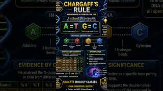 #molecularbiology chargaff rule for Neet exam #viral #aiims #study #medical #education
