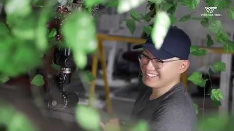 Researchers building robot that can help pick table grapes