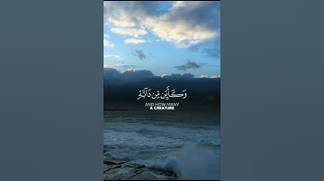سورة العنكبوت { الَّذِينَ صَبَرُوا وَعَلَىٰ رَبِّهِمْ يَتَوَكَّلُونَ (59)....... #لايك