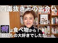 四毒抜き！抜けない時も色々あるけど続けるよ
