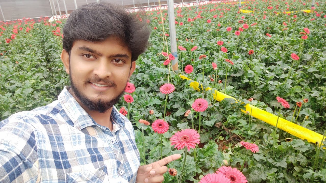 Weekends Worth || Decoration Flower ||ಜರ್ಬರ ಹೂವು||Bangalore