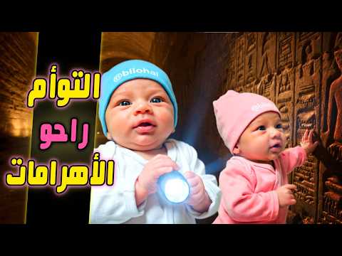 فلوق توأم الذكاء الاصطناعي التوأم سافروا الأهرامات