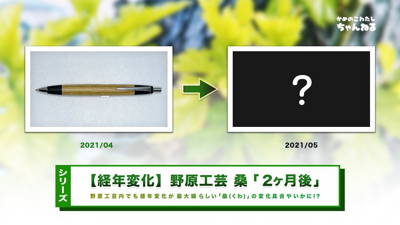 シリーズ】野原工芸のペン経年変化「桑(くわ)」購入約2ヶ月後 - YouTube