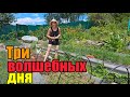 Дорвались и заболели》Хани что то видит..》Как пережили аномалию