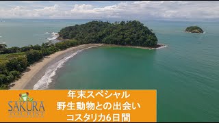 冒険と野生動物に出会う コスタリカ6日間