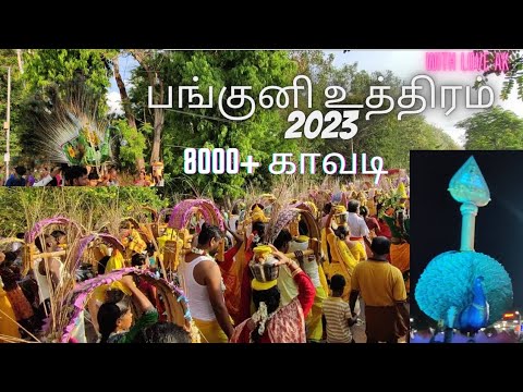 Panguni Uttaram 2023  8000 Kavadi  Villudayan Pattu Murugan Panguni Uthra Festival  Neyveli