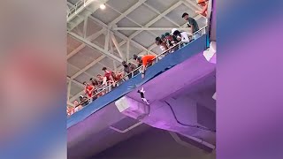 Watch: Miami Fans Using American Flag To Catch Falling Cat at Hard Rock Stadium screenshot 1